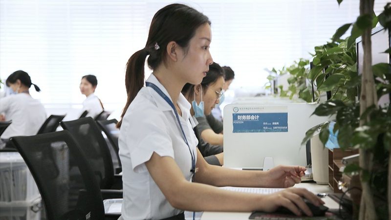 电子商标购买：价格构成与影响因素揭秘